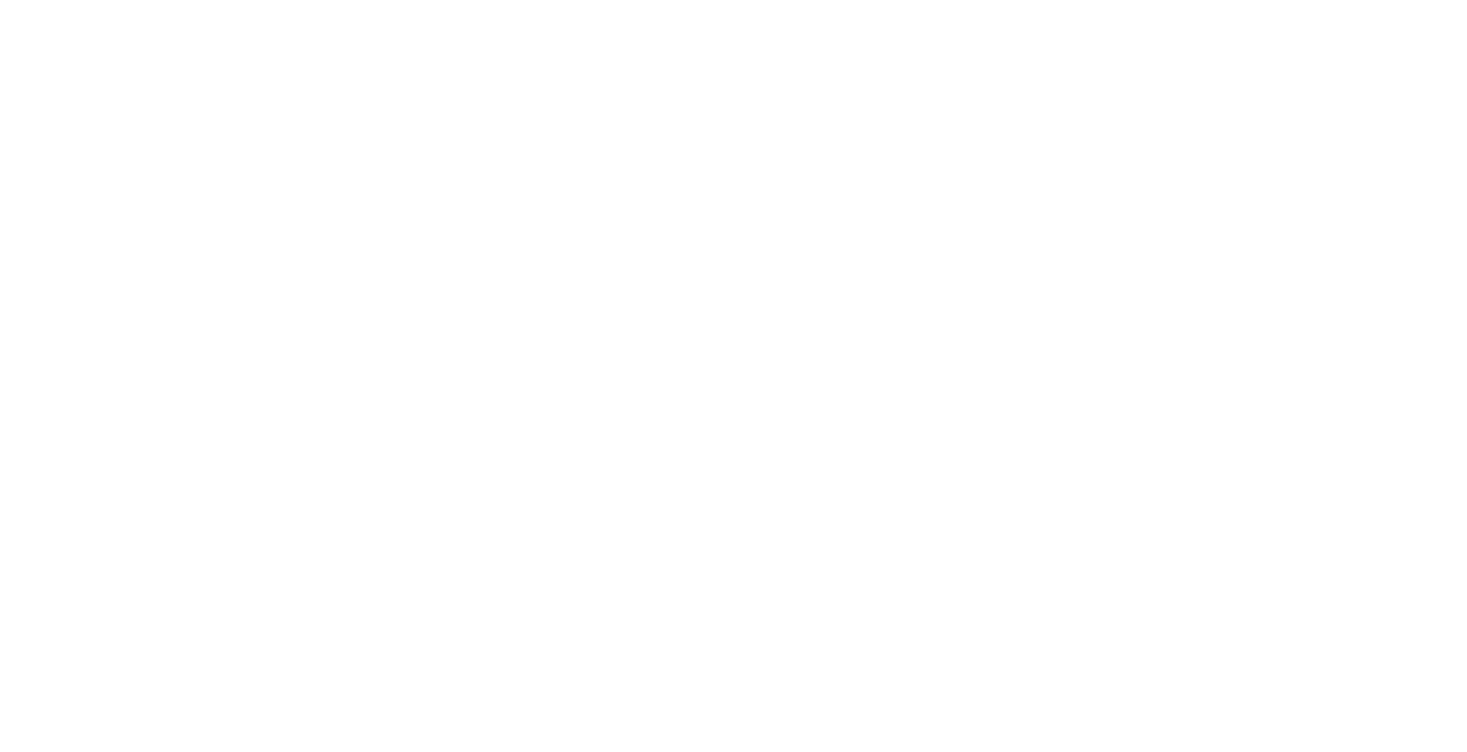 light logo